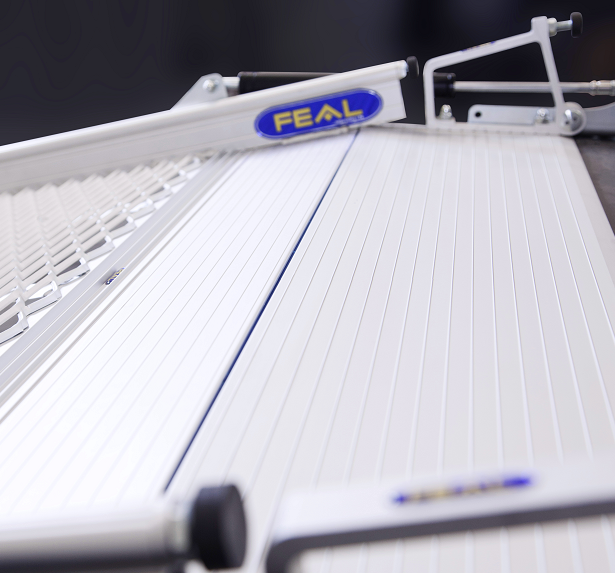 Innlasting av rullestol - FEAL iRamp Vehicle - Bilde 2